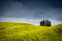 The Palouse